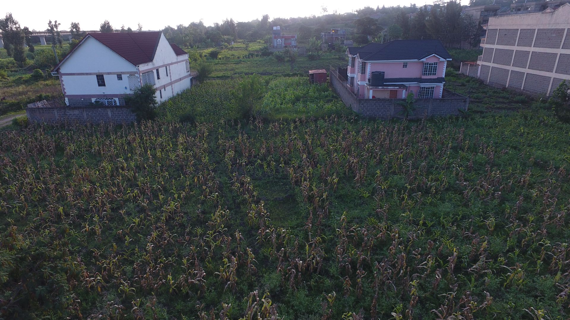 50X100 Plots for Sale in Machakos Mavoko Sub - County, photo 3