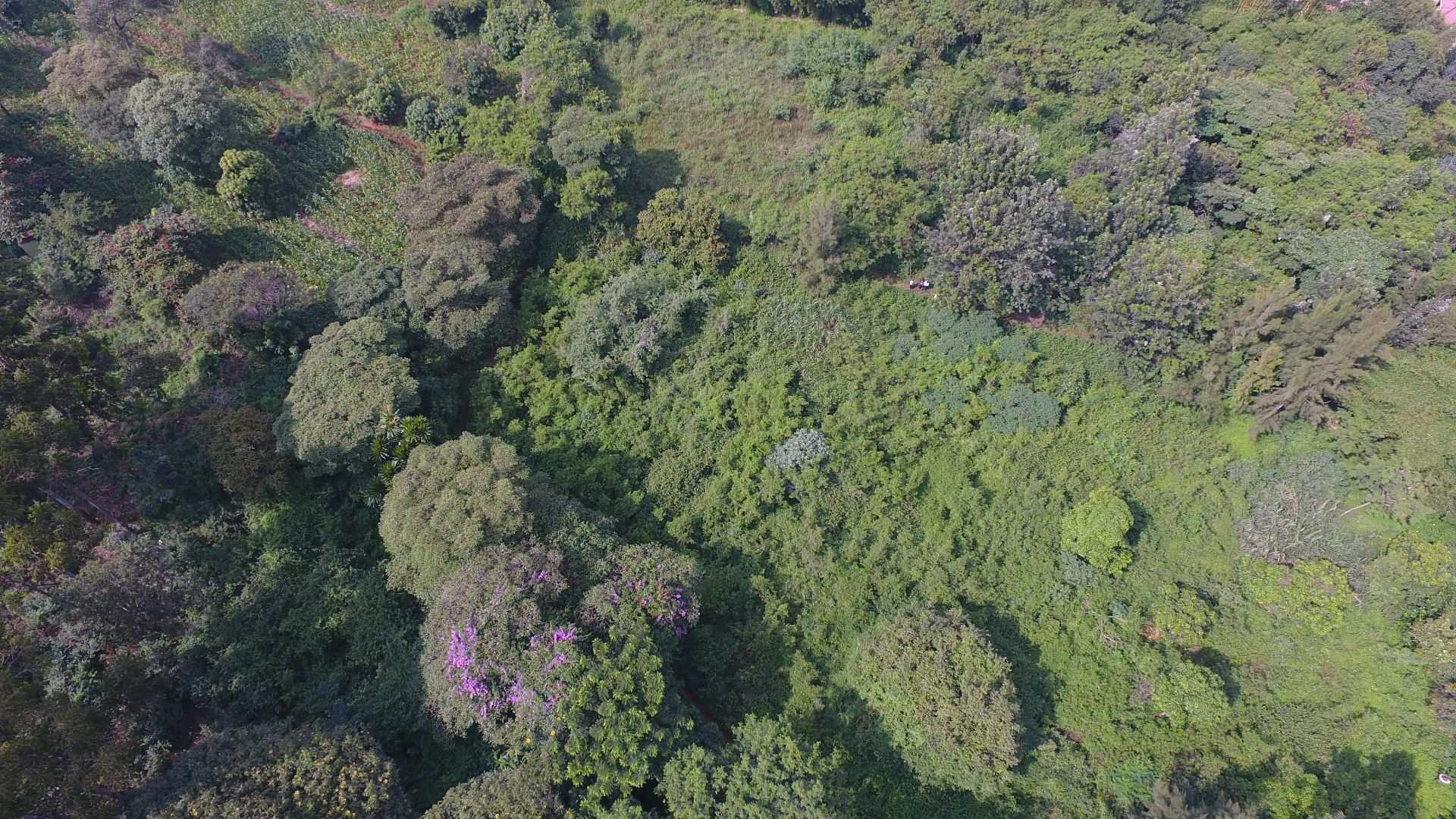 3/4 Acre In Kamiti Road Opposite Wood Creek School, photo 3