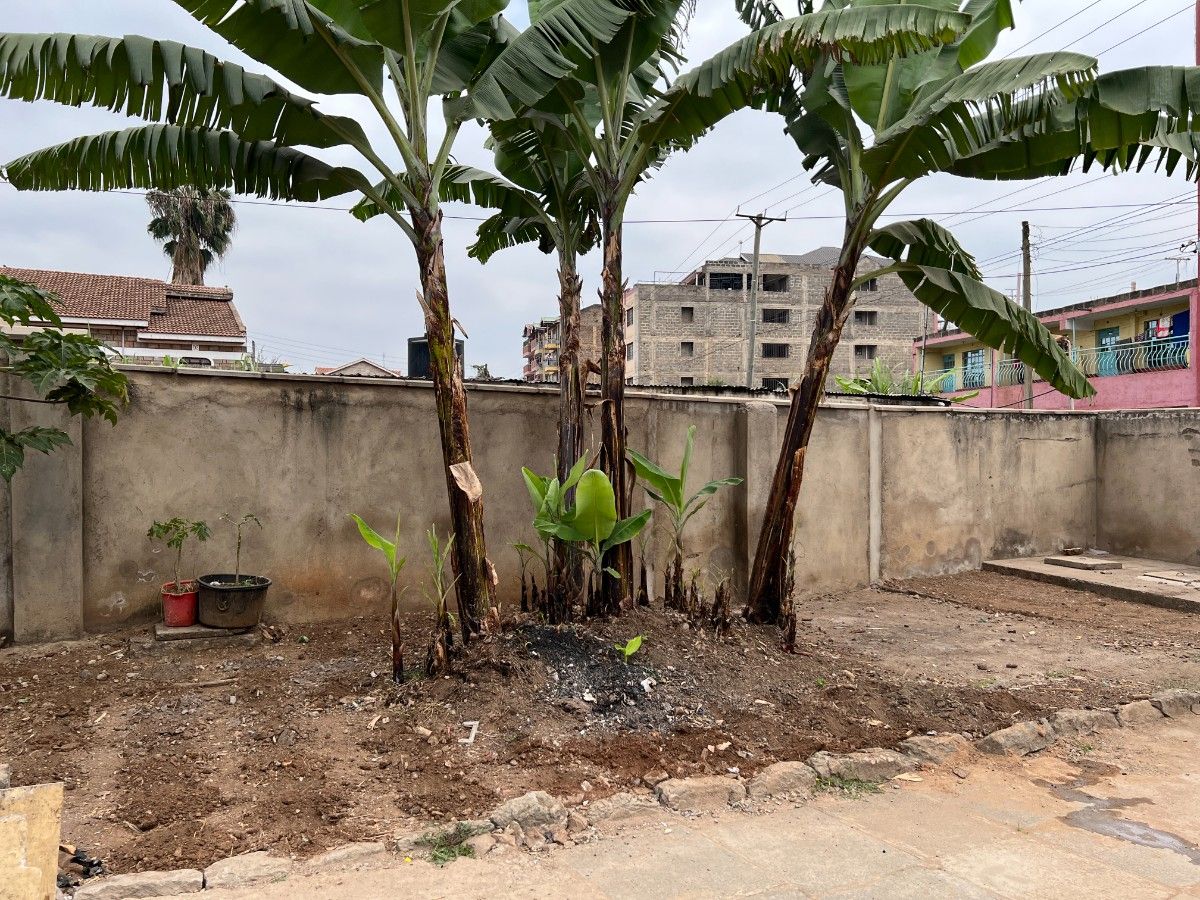 Secure 4-Bedroom House in Kasarani Seasons Gated Community, photo 2