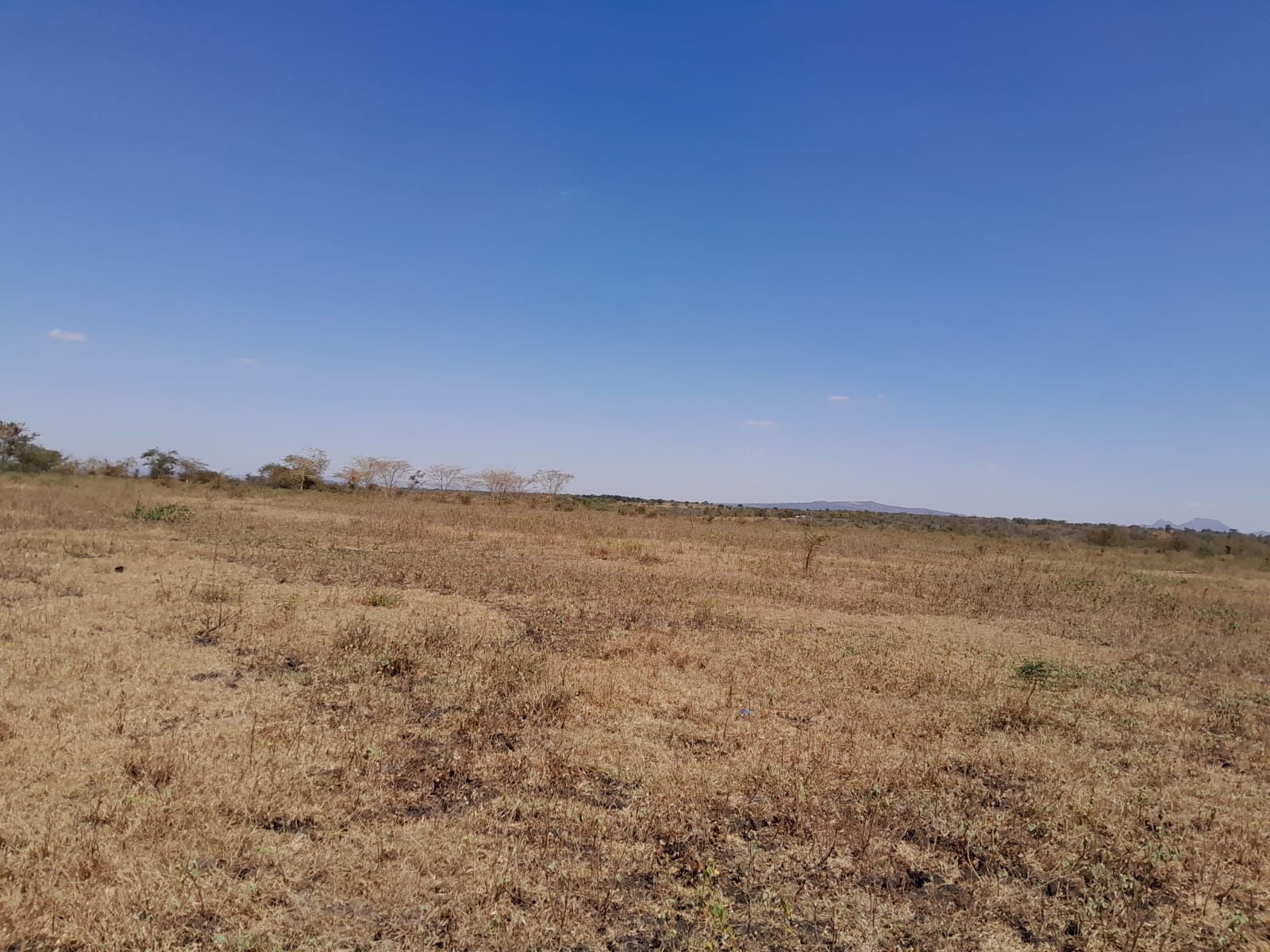50 by 100 Konza Phase II 1.5km from Konza City
