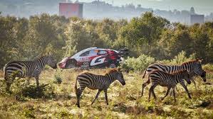 The Airbnb Surge in Naivasha After the WRC Safari Rally